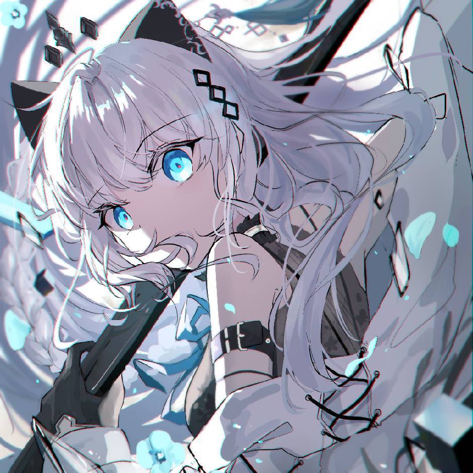 猫毛